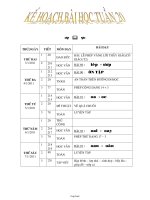 Kế hoạch giảng dạy lớp 1 - Tuần 20