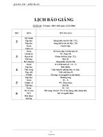 Thiết kế bài dạy các môn lớp 2 - Tuần 10