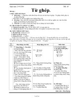 Bài giảng môn học Ngữ văn lớp 7 - Tiết 3: Từ ghép (tiết 2)