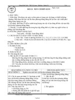 Giáo án Vật lý 6 - Tiết 13 - Bài 13: Máy cơ đơn giản