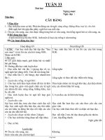 Giáo án Lớp 1 Tuần 33 chuẩn KTKN