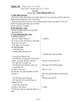 Giáo án Toán lớp 3 - Tuần 11, 12