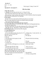 Giáo án lớp 3 - Tuần 17