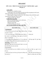 Giáo án Lịch sử 5, kì I