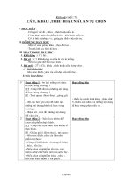 Giáo án Các môn phụ Lớp 5 Tuần 14