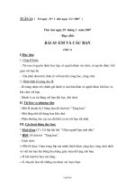 Thiết kế bài dạy khối 1 - Tiểu học Quán Toan - Tuần 21 năm 2007