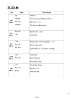 Kế hoạch bài dạy lớp 1 - Tuần học 16