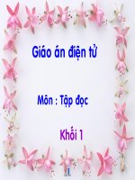 Bài giảng Tập đọc: Hồ Gươm