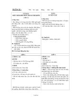 Kế hoạch bài dạy lớp 2 + 3 - Tuần 22