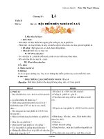 Giáo án lớp 6 môn Sinh học - Tuần 11 - Tiết 21 - Bài 19: Đặc điểm bên ngoài của lá