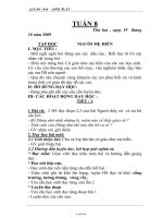 Giáo án Lớp 2 tuần 8 (6)