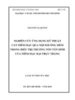 Luận án tiến sĩ nghiên cứu ứng dụng kỹ thuật cắt niêm mạc qua nội soi ống mềm trong điều trị thương tổn tân sinh 