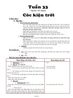Giáo án môn học Lớp 3 - Tuần 33