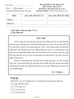 Đề thi kiểm cuối học kỳ II môn Tiếng Việt lớp 3