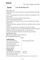 Thiết kế bài dạy các môn lớp 2 - Tuần 16