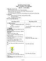 Kế hoạch dạy học môn: Tự nhiên và xã hội lớp 1 - Bài 23: Cây hoa