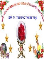 Bài giảng Ngữ văn 7 tiết 53: Tiếng gà trưa (Xuân Quỳnh)