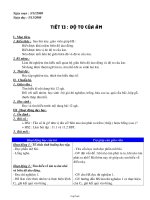 Giáo án môn Vật lý lớp 7 tiết 13: Độ to của âm