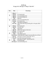 Giáo án các môn khối 2 - Tuần thứ 16 năm học 2012