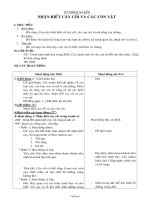 Giáo án Tự nhiên xã hội 2 tuần 30: Nhận biết cây cối và các con vật