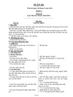 Giáo án Lớp 4 Tuần 26 - Chuẩn kiến thức kỹ năng