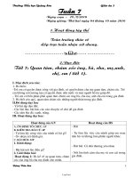 Giáo án Lớp 3 Tuần 7 - Đặng Văn Sơn - Trường Tiểu học Quảng Sơn