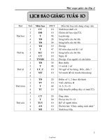 Thiết kế giáo án Tổng hợp lớp 2 - Tuần 10, 11, 12