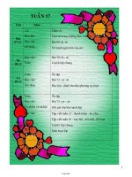 Kế hoạch bài dạy lớp 1 - Tuần 17 năm 2009