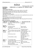 Kế hoạch dạy học lớp 2 - Năm học 2010 - 2011 - Tuần 21
