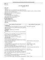 Giáo án Toán 3 tuần 19 - Nguyễn Thị Bích Hải - Trường tiểu học Vĩnh Nguyên 1