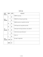 Thiết kế giáo án Tổng hợp lớp 2 - Tuần 10