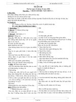 Thiết kế bài dạy các môn lớp 2 năm 2010 - 2011 - Tuần 10