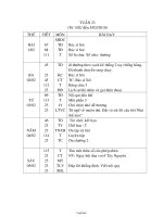 Thiết kế giáo án Tổng hợp khối 2 - Tuần 23