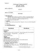 Giáo án Khối 2 Tuần 17