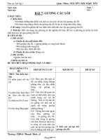 Giáo án dạy Vật lý khối 7 bài 7: Gương cầu lồi