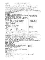 Giáo án lớp 1 môn Đao đức - Tiết: Giữ trật tự vệ sinh nơi công cộng