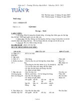 Giáo án lớp 2 - Tuần thứ 9