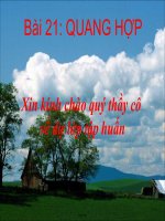 Giáo án lớp 6 môn Sinh học - Bài 21: Quang hợp