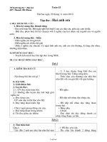 Kế hoạch giảng dạy lớp 2 năm 2010 - 2011 - Tuần 15