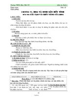 Giáo án lớp 6 môn học Sinh học - Tiết 32 - Bài 28: Cấu tạo và chức năng của hoa