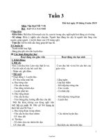 Giáo án các môn học khối lớp 2 - Tuần dạy 3 năm học 2010