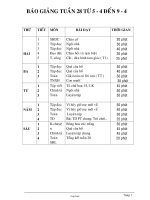 Giáo án giảng dạy khối 1 - Tuần số 28 năm học 2010