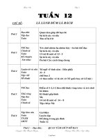 Thiết kế giáo án môn học khối 2 - Tuần 12