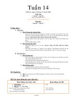 Giáo án môn học Lớp 3 - Tuần 14