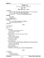 Giáo án Tổng hợp môn lớp 1 - Tuần 24 năm học 010