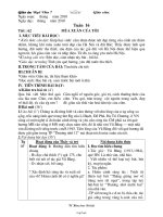 Giáo án môn học Ngữ văn 7 - Tuần 16 - Tiết 62: Mùa xuân của tôi