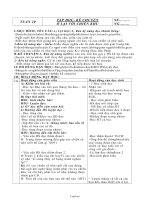 Giáo án Lớp 3 Tuần 20 - GV: Trương Thị Hảo