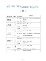 Kế hoạch giảng dạy lớp 1 - Tuần 11