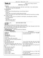 Giáo án lớp 2 - Năm học 2011 - 2012 - Tuần 25