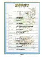 Giáo án Tuần 31 Lớp 3 - Cả ngày